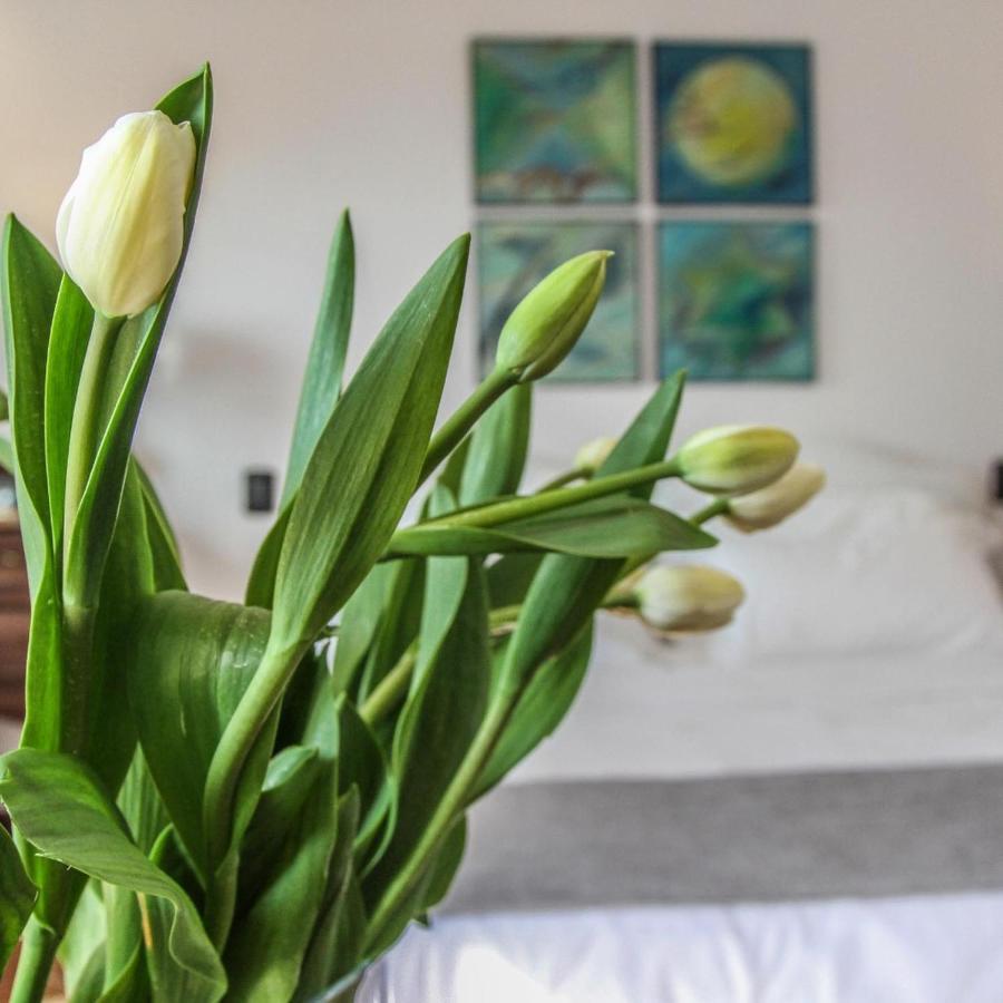 La Locanda Del Pontefice - Luxury Country House マリノ エクステリア 写真